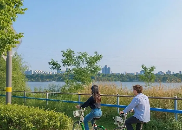Cozy & Light-filled, Your Wishlisted Travel Seul